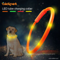 Collier de chien led tube rechargeable usb silicone